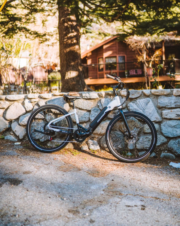 DENAGO-City Model 1 Step-Thru - E10-5