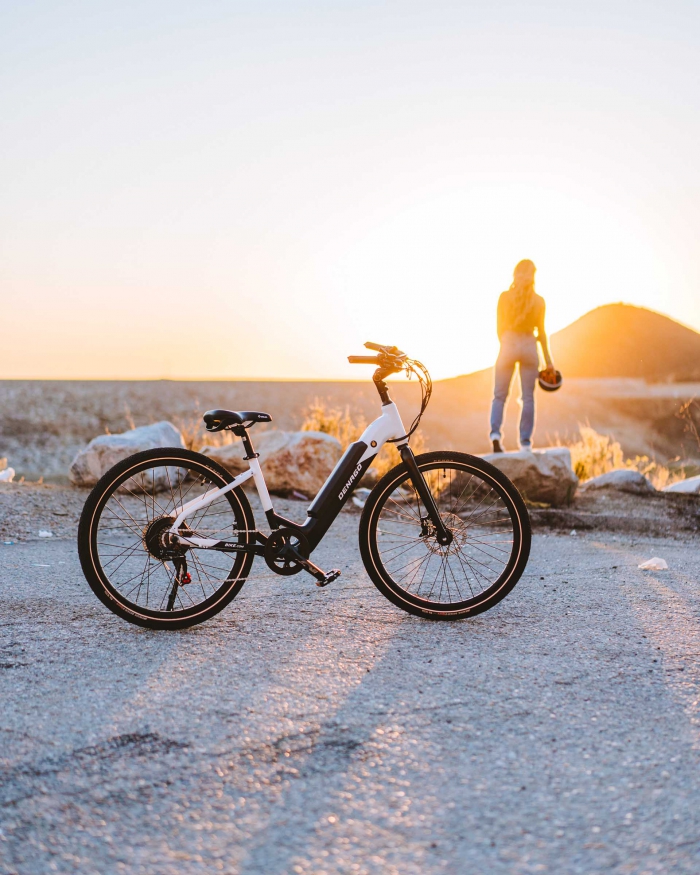 DENAGO-City Model 1 Step-Thru - E10-7