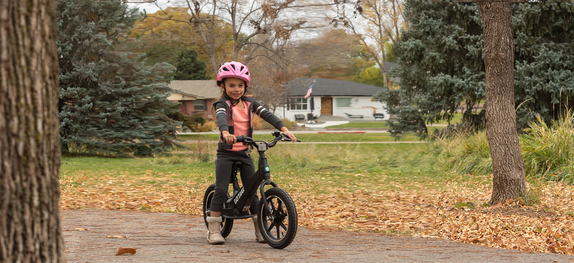 V14 ��ͯ�綯ƽ�⳵