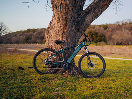 D1RT �綯ɽ�����г�