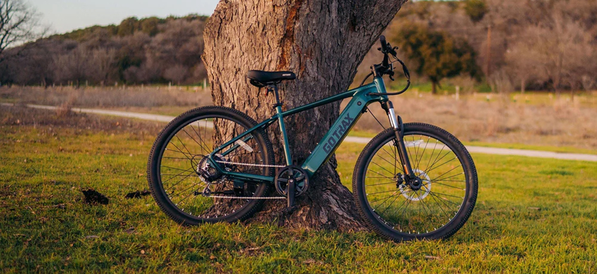 D1RT �綯ɽ�����г�