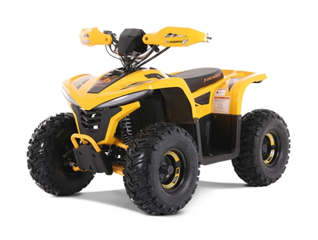 DENAGO E-HAWK 6 ATV