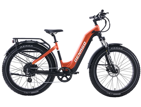 DENAGO FAT TIRE 2 STEP-THRU EBIKE